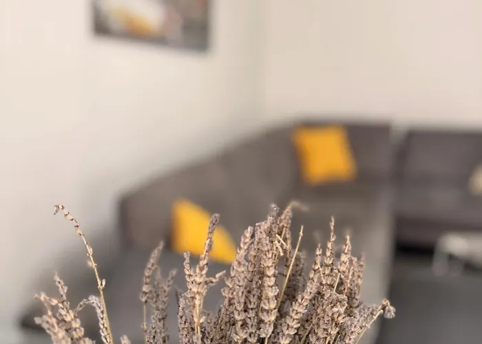 Square View Apartment