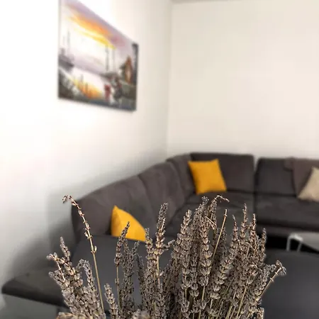 Square View * Тирана