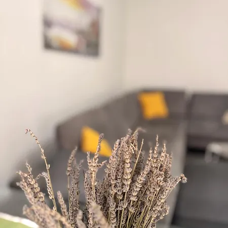 Square View Apartment